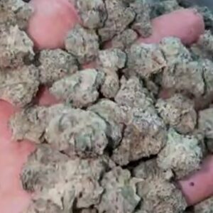 BLUEBERRY SUGAR (B)