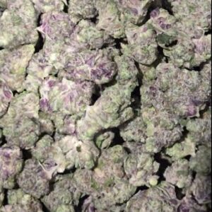 BLUEBERRY ZKITTLEZ (S)