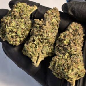 PEANUT BUTTER BREATH